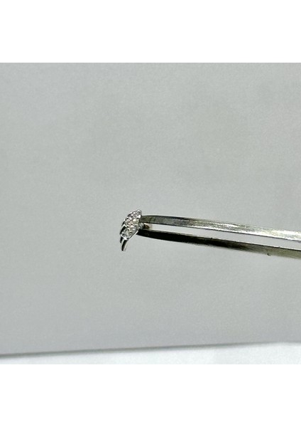 Kadın Gümüş Melek Kanadı Tragus Piercing Gümüş Kıkırdak Küpe