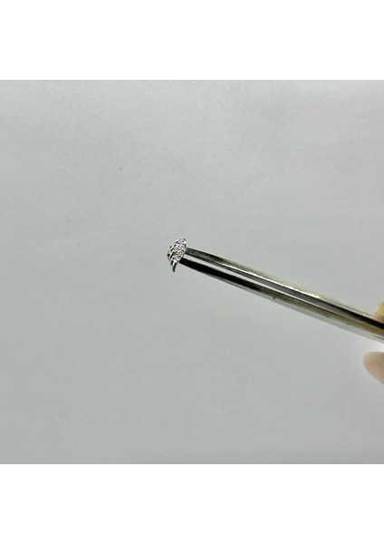 Kadın Gümüş Melek Kanadı Tragus Piercing Gümüş Kıkırdak Küpe fiyatları