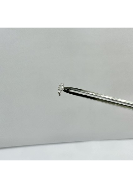 Kadın Gümüş Melek Kanadı Tragus Piercing Gümüş Kıkırdak Küpe modelleri