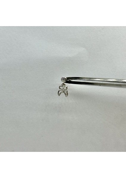 Kadın Gümüş Sallantılı Tragus Piercing Gümüş Kıkırdak Küpe modelleri