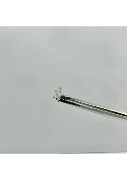 Kadın Gümüş Tragus Deniz Yıldızı Piercing Gümüş Kıkırdak Küpe