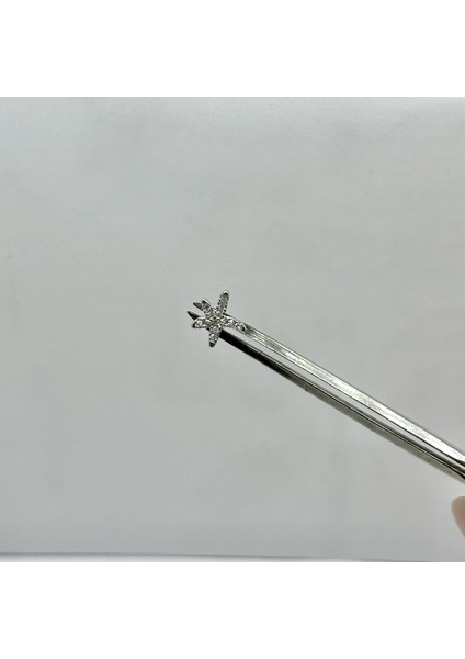 Kadın Gümüş Tragus Deniz Yıldızı Piercing Gümüş Kıkırdak Küpe fiyatları