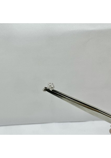 Kadın Çiçek Motifli Gümüş Tragus Piercing Gümüş Kıkırdak Küpe
