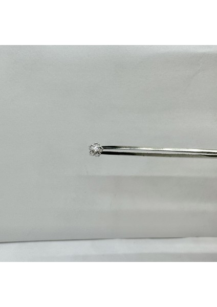 Kadın Çiçek Motifli Gümüş Tragus Piercing Gümüş Kıkırdak Küpe