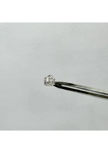 Kadın Çiçek Motifli Gümüş Tragus Piercing Gümüş Kıkırdak Küpe