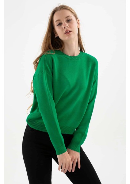 Regular Fit Bisiklet Yaka Kazak Bayan Kazak 23K0166K1