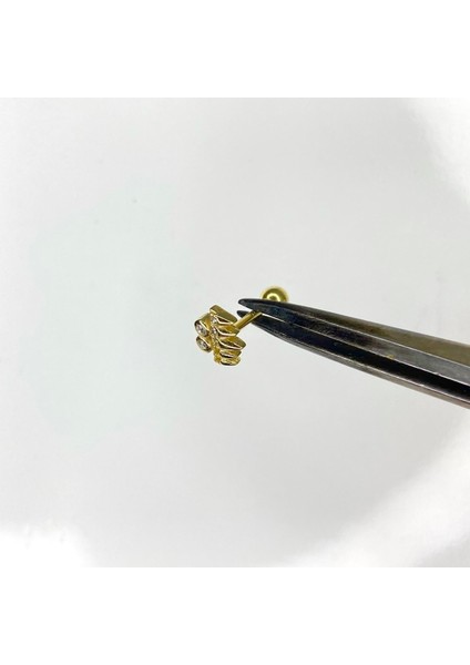 Gümüş Altın Sarısı Tragus Küpesi Gümüş Kıkırdak Küpesi fiyatları