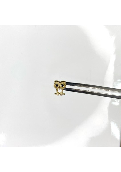 Gümüş Tragus Küpesi Gümüş Baykuş Model Kıkırdak Küpesi