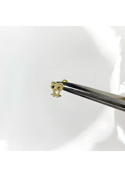 Gümüş Tragus Küpesi Gümüş Baykuş Model Kıkırdak Küpesi fiyatları