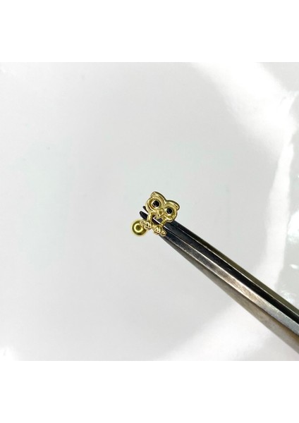 Gümüş Tragus Küpesi Gümüş Baykuş Model Kıkırdak Küpesi modelleri