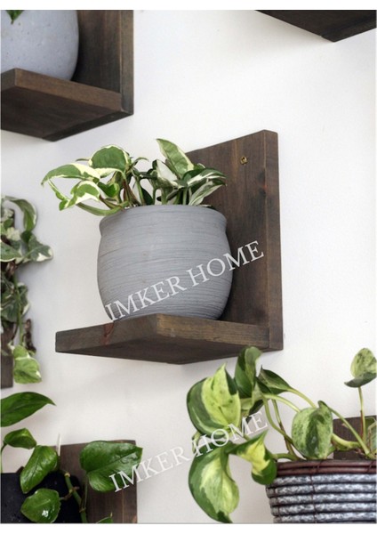 5'li Takım Ceviz Renk Dekoratif Masif Doğal Ahşap Duvar Rafı Çiçeklik Uçan Raf Duvar Düzenleyici