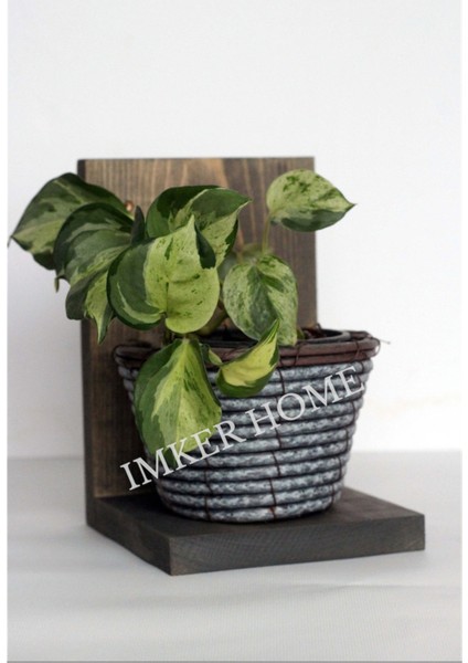 5'li Takım Ceviz Renk Dekoratif Masif Doğal Ahşap Duvar Rafı Çiçeklik Uçan Raf Duvar Düzenleyici modelleri