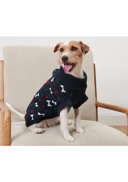 Köpek Kazağı