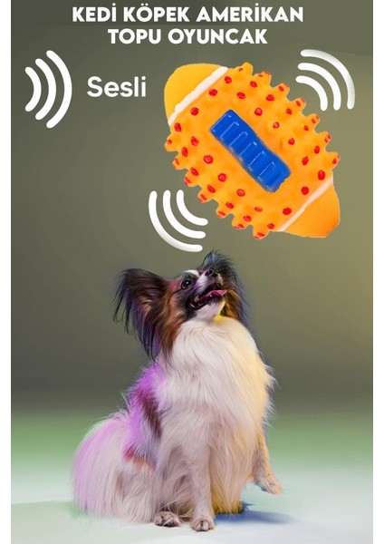 Kedi Köpek Evcil Hayvan Seti 4 modelleri