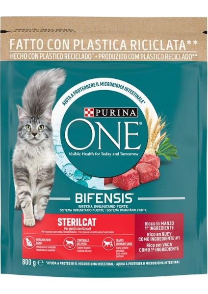 Purina One Sığır Etli Yetişkin Kedi Maması 800GR