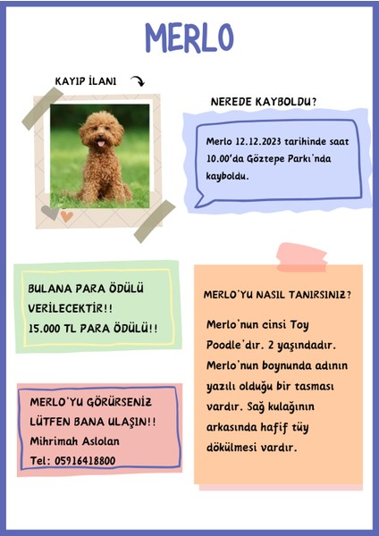 Dedektif Oyunu- Kayıp Köpek Merlo- Gizem Avcıları Serisi- Zeka Oyunu- Eğitici Oyun fırsatları