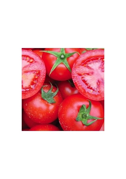 250 Adet Tohum Mega Paket Kırmızı Falcon Falkon Domates Tohum