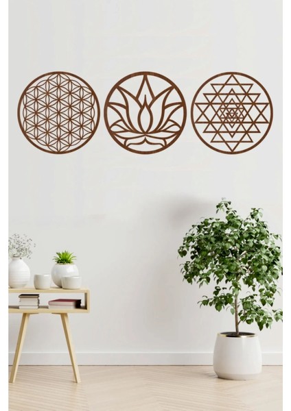 Yaşam Çiçeği Lotus Çiçeği ve Sri Yantra 3'lü Set Kahverengi Duvar Tablosu