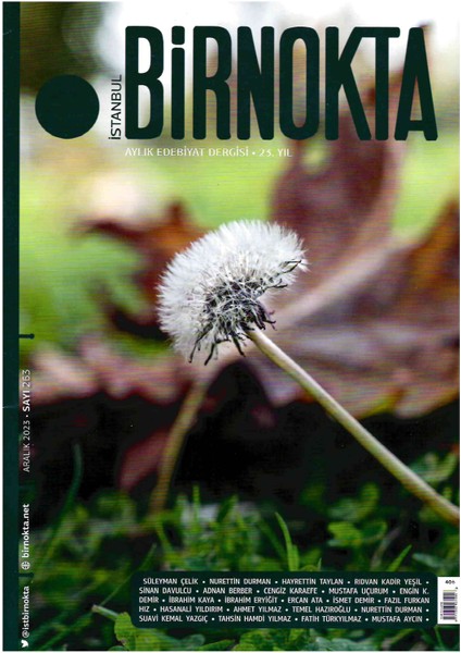 İstanbul Birnokta 263. Sayı Aralık 2023