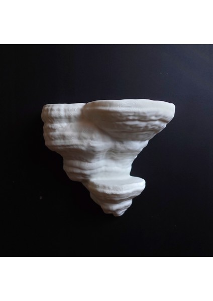 KemX3D Duvar Rafı - Fomentarius Mantarı