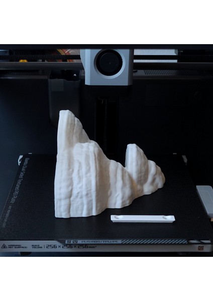 KemX3D Duvar Rafı - Fomentarius Mantarı