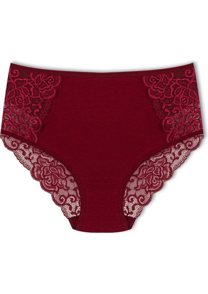 3'lü Pamuklu Ön Yan ve Arka Dantelli Büyük Beden Kadın Külot fiyatları