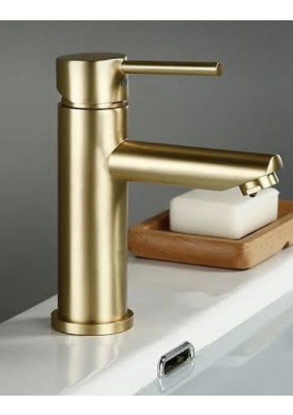 Gold Altın Kaplama Kartal Sabit Banyo Lavabo Bataryası Musluğu Çeşmesi Çift Su Girişli