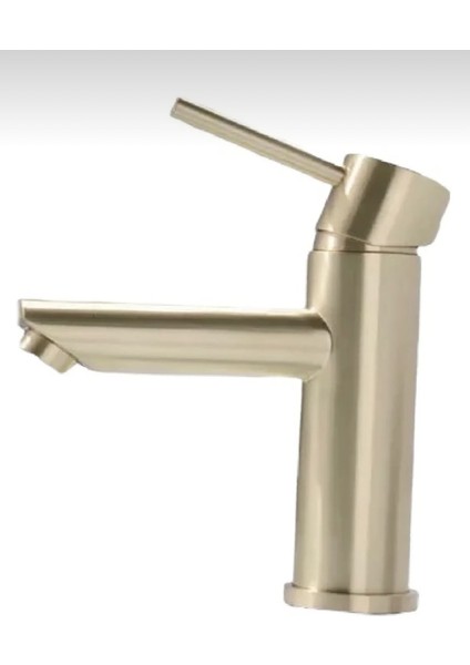 Gold Altın Kaplama Kartal Sabit Banyo Lavabo Bataryası Musluğu Çeşmesi Çift Su Girişli