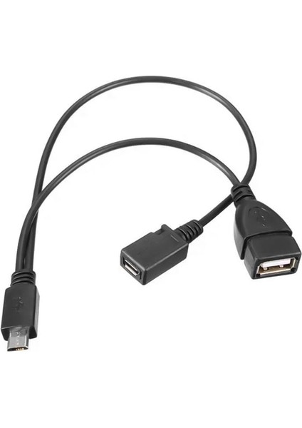 Powermaster USB Dişi Micro USB Erkek-Dişi Y 20 cm Otg Kablo