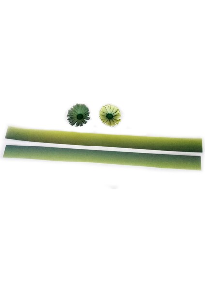 Fıstık Yeşili Yeşil Fıstık Yeşili Koyu Yeşil Renk Geçişli modelleri