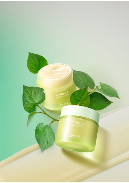 Heartleaf Calming Moisture Cream - Houttuynia Cordata Özlü Dinlendirici & Nemlendirici Krem