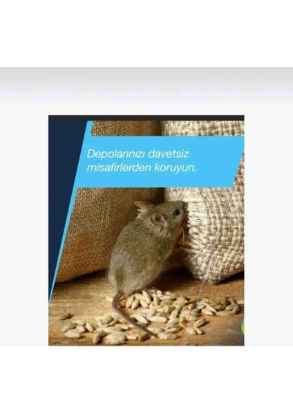 Fare Sıçan Ilaçlama Bayer Racumin Zehirli Buğday 2 Adet/ Rat's Pasta 2 Adet/fare Yapışkanı Hediye fiyatları