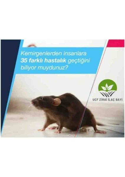 Fare Sıçan Ilaçlama Bayer Racumin Zehirli Buğday 2 Adet/ Rat's Pasta 2 Adet/fare Yapışkanı Hediye modelleri