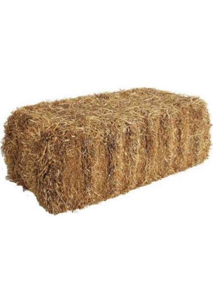 SAMAN BALYASI (GERÇEK)