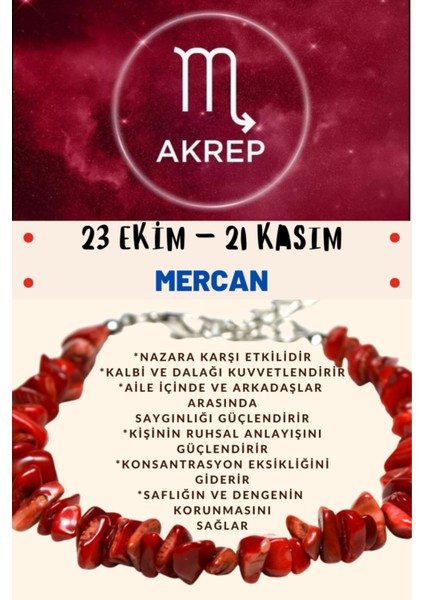 Akrep Burcu Burç Bilekliği