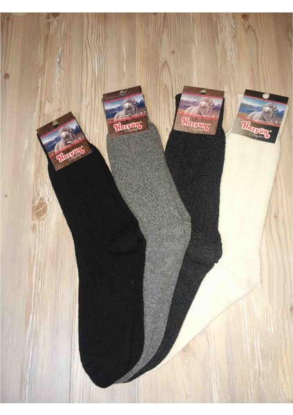 Benden E Shop Hasyun Lambswool Corap