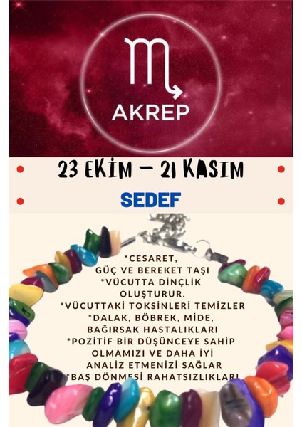 Sertifikalı Burç Taşı Akrep Burcu Sedef Taşı Bileklik