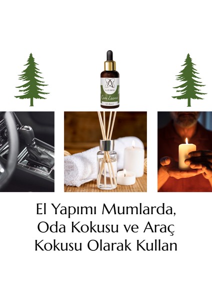 Alze Kimya Yoğun Çam Esansı Mum ve Buhurdanlık Için 10,20,30 ml