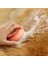 Pet Tarak Vantuz Pet Banyo Fırçası Köpek Kedi Masaj Fırçası Temizlik Araçları Malzemeleri (Yurt Dışından) 2