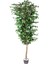 Yapay Ficus Ağacı Tek Gövde Yeşil 225 Cm. 1