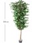 Yapay Ficus Ağacı Tek Gövde Yeşil 225 Cm. 3
