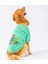 Mint Bone Hunter Orta-Büyük Irk Köpek Fermuarlı Sweatshirt 1