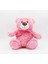 Pembe Ayı Oyuncak Ayı Bebek Peluş Oyuncak Yedi Renkli Ayı (Yurt Dışından) 1