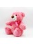 Pembe Ayı Oyuncak Ayı Bebek Peluş Oyuncak Yedi Renkli Ayı (Yurt Dışından) 2