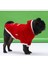 Newyear Slogan Küçük ve Orta Irk Kapüşonlu Köpek Sweat 1