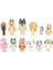 Hw Hot Shopping 12'li Bluey Friends Collie Oyuncak Seti (Yurt Dışından) 1