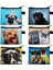 Sevimli Pug Köpek Desen Bozuk Para Çantaları Kadın Güzel Pet Hayvan Mini Cüzdan Bayanlar Anahtar Kredi Kartı Çantası Küçük Ruj Çanta Hediye (Yurt Dışından) 1