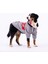 Gri Angry Orta-Büyük Irk Köpek Fermuarlı Sweatshirt 3