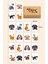 Sevimli Kedi Köpek Eşleştirme Hafıza Oyunu Memory Game Ahşap Eğitici Oyuncak 1