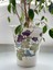 Grape Handmade Saksı 1